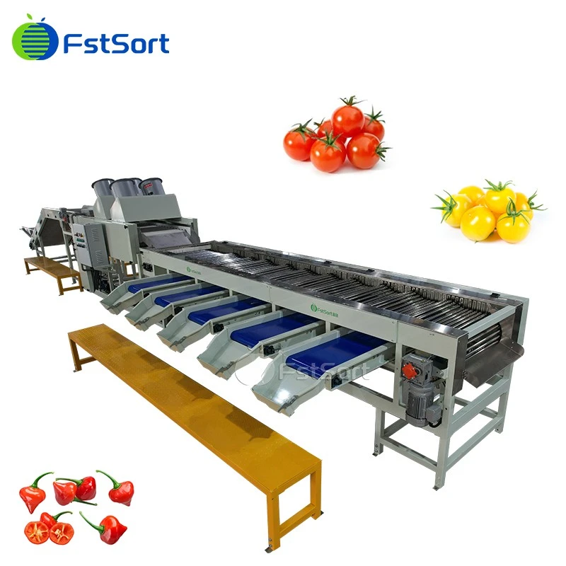 cherry tomato sorting equipment